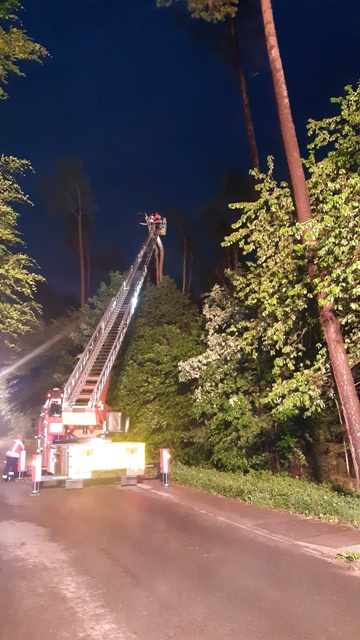 20220520_214601_resized groß.jpg